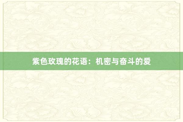 紫色玫瑰的花语：机密与奋斗的爱